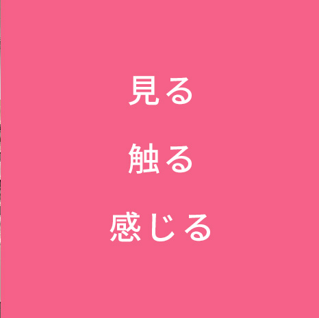 ショールーム