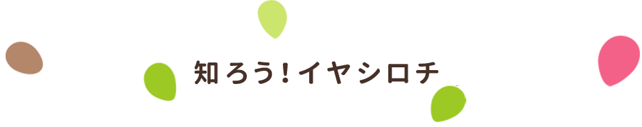 イヤシロチとは