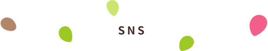 SNS